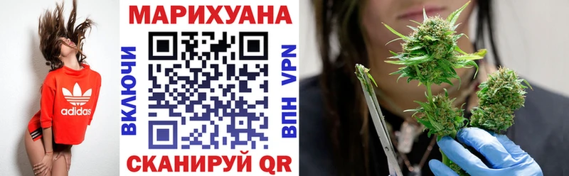 Марихуана конопля  где найти наркотики  Сураж 